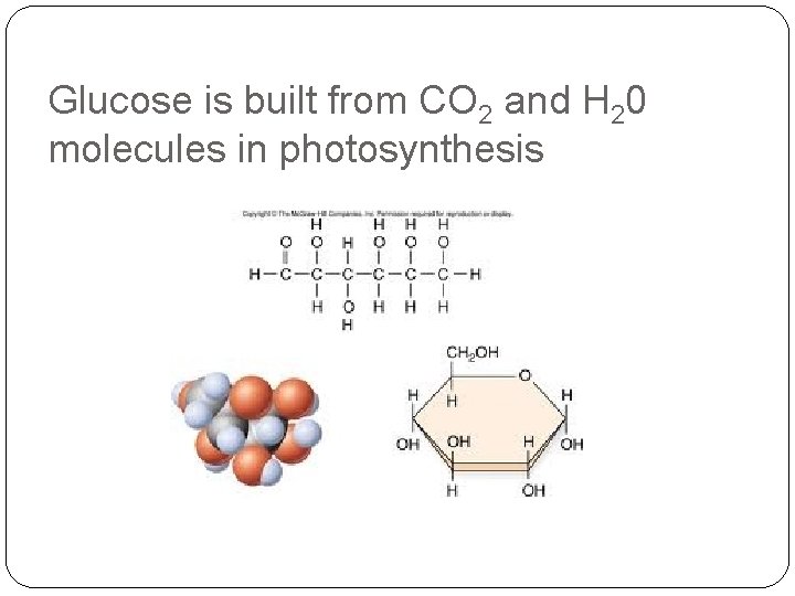 Glucose is built from CO 2 and H 20 molecules in photosynthesis 