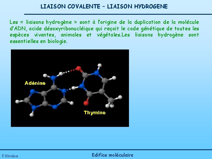 LIAISON COVALENTE – LIAISON HYDROGENE Les « liaisons hydrogène » sont à l’origine de