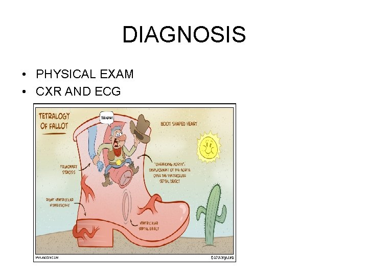 DIAGNOSIS • PHYSICAL EXAM • CXR AND ECG 