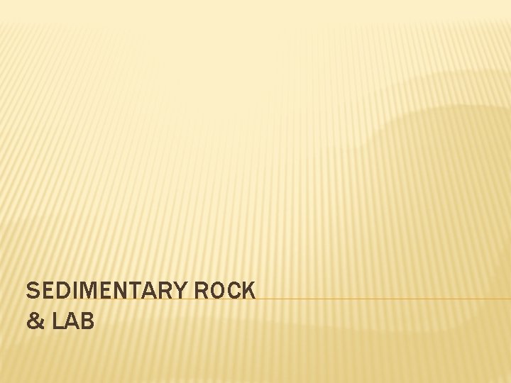 SEDIMENTARY ROCK & LAB 