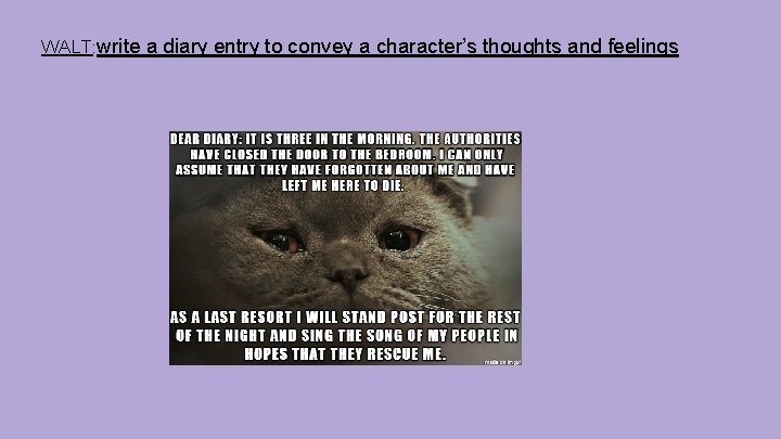 WALT: write a diary entry to convey a character’s thoughts and feelings 