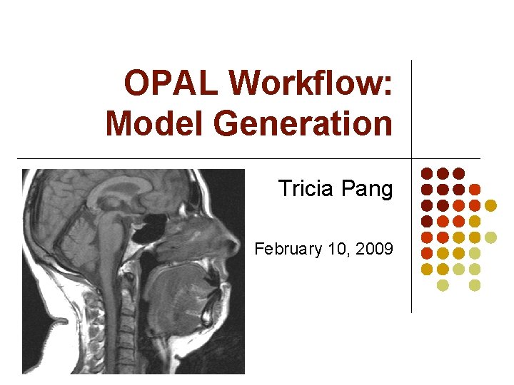 OPAL Workflow: Model Generation Tricia Pang February 10, 2009 