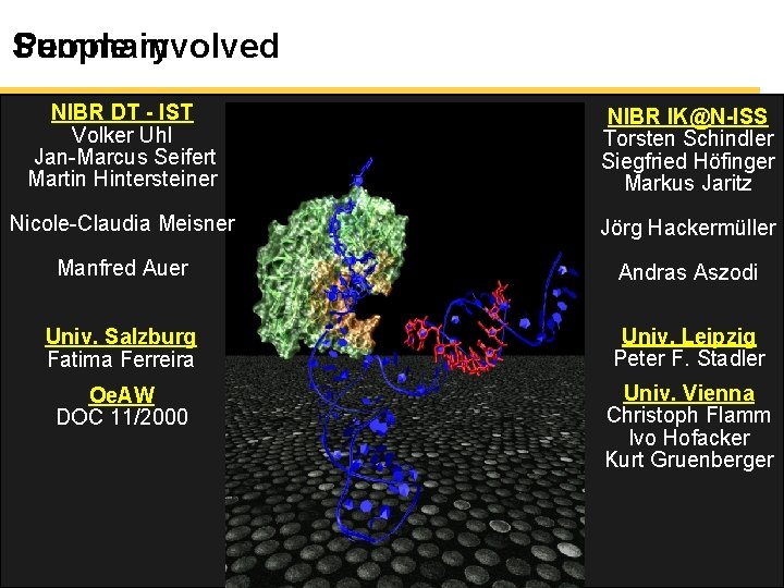 People involved Summary NIBR DT - IST Volker Uhl Jan-Marcus Seifert Martin Hintersteiner NIBR People involved Summary NIBR DT - IST Volker Uhl Jan-Marcus Seifert Martin Hintersteiner NIBR