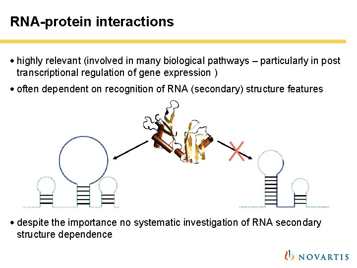 RNA-protein interactions · highly relevant (involved in many biological pathways – particularly in post RNA-protein interactions · highly relevant (involved in many biological pathways – particularly in post