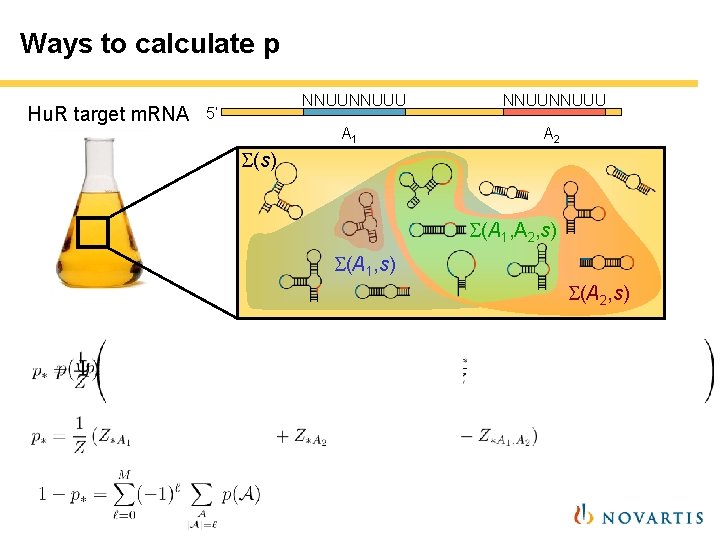 Ways to calculate p Hu. R target m. RNA NNUUU 5‘ A 1 NNUUU Ways to calculate p Hu. R target m. RNA NNUUU 5‘ A 1 NNUUU