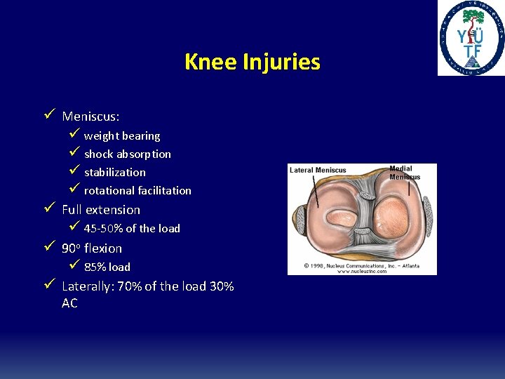 Knee Injuries ü Meniscus: ü weight bearing ü shock absorption ü stabilization ü rotational Knee Injuries ü Meniscus: ü weight bearing ü shock absorption ü stabilization ü rotational