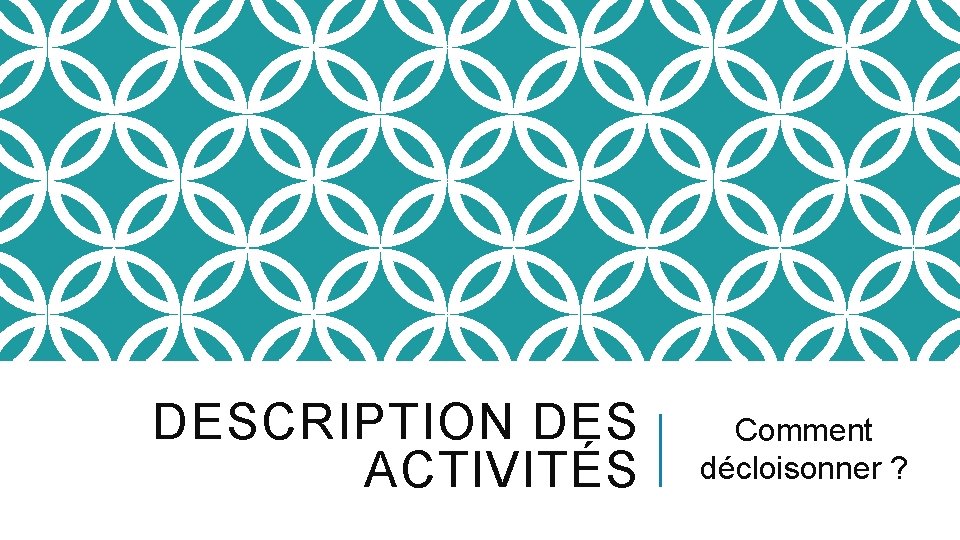 DESCRIPTION DES ACTIVITÉS Comment décloisonner ? 