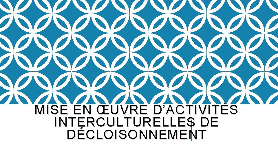 MISE EN ŒUVRE D’ACTIVITÉS INTERCULTURELLES DE DÉCLOISONNEMENT 