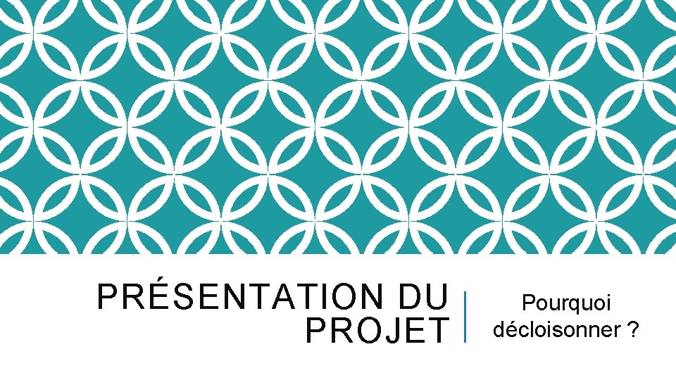 PRÉSENTATION DU PROJET Pourquoi décloisonner ? 