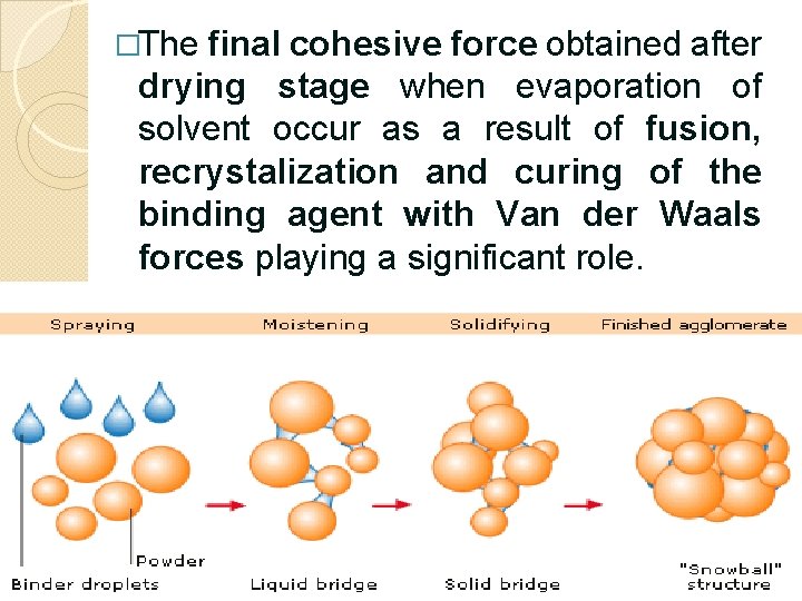 �The final cohesive force obtained after drying stage when evaporation of solvent occur as