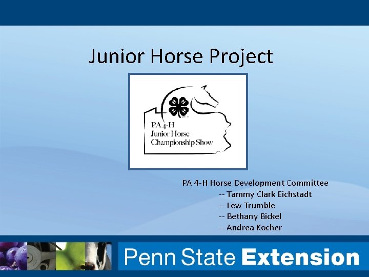 Junior Horse Project PA 4 -H Horse Development Committee -- Tammy Clark Eichstadt --