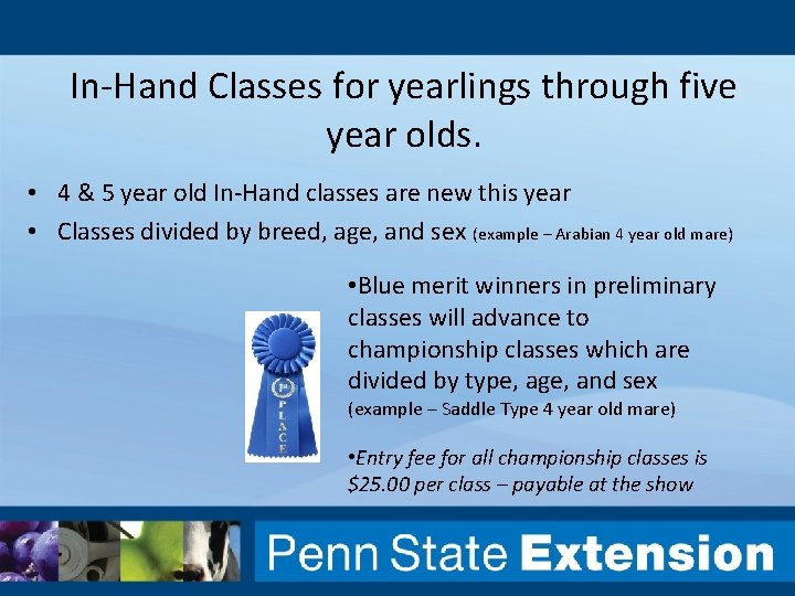 In-Hand Classes for yearlings through five year olds. • 4 & 5 year old