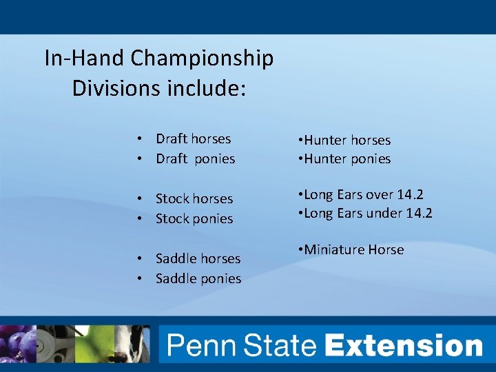 In-Hand Championship Divisions include: • Draft horses • Draft ponies • Hunter horses •