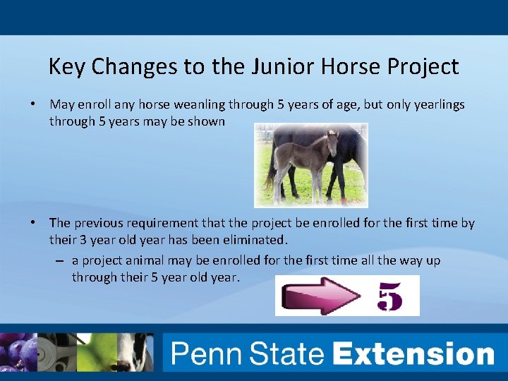 Key Changes to the Junior Horse Project • May enroll any horse weanling through