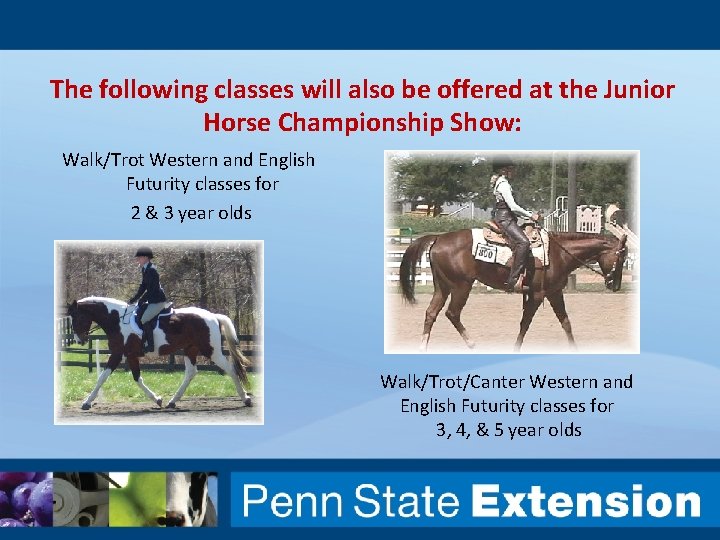 The following classes will also be offered at the Junior Horse Championship Show: Walk/Trot