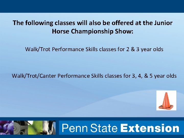 The following classes will also be offered at the Junior Horse Championship Show: Walk/Trot