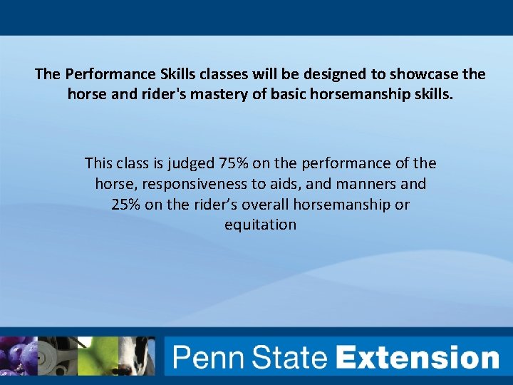 The Performance Skills classes will be designed to showcase the horse and rider's mastery