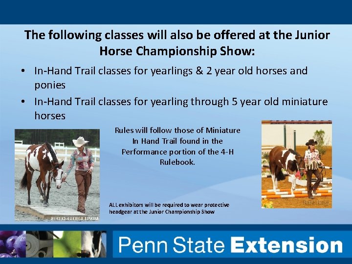 The following classes will also be offered at the Junior Horse Championship Show: •