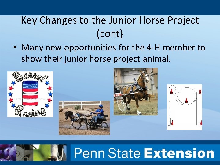 Key Changes to the Junior Horse Project (cont) • Many new opportunities for the