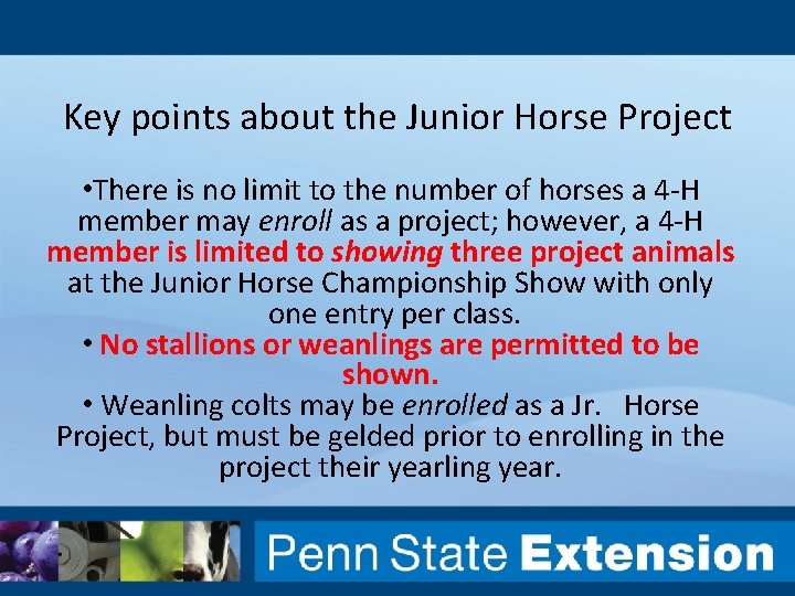 Key points about the Junior Horse Project • There is no limit to the