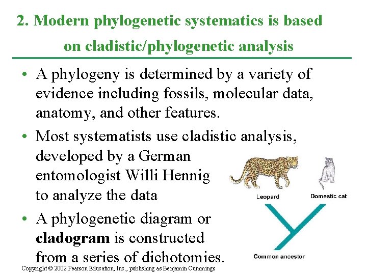 2. Modern phylogenetic systematics is based on cladistic/phylogenetic analysis • A phylogeny is determined