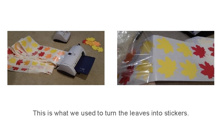 This is what we used to turn the leaves into stickers. 
