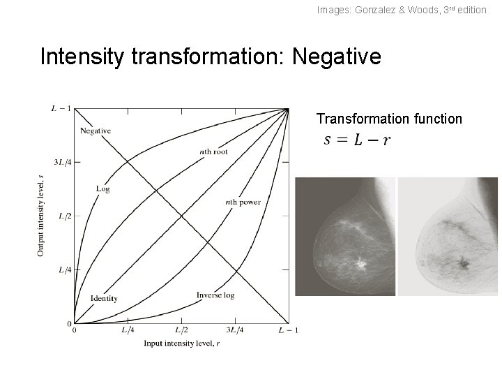 Images: Gonzalez & Woods, 3 rd edition Intensity transformation: Negative Transformation function Images: Gonzalez & Woods, 3 rd edition Intensity transformation: Negative Transformation function