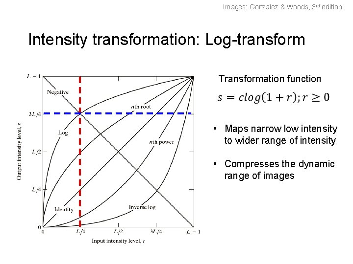 Images: Gonzalez & Woods, 3 rd edition Intensity transformation: Log-transform Transformation function • Maps Images: Gonzalez & Woods, 3 rd edition Intensity transformation: Log-transform Transformation function • Maps
