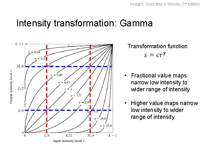 Images: Gonzalez & Woods, 3 rd edition Intensity transformation: Gamma Transformation function • Fractional Images: Gonzalez & Woods, 3 rd edition Intensity transformation: Gamma Transformation function • Fractional