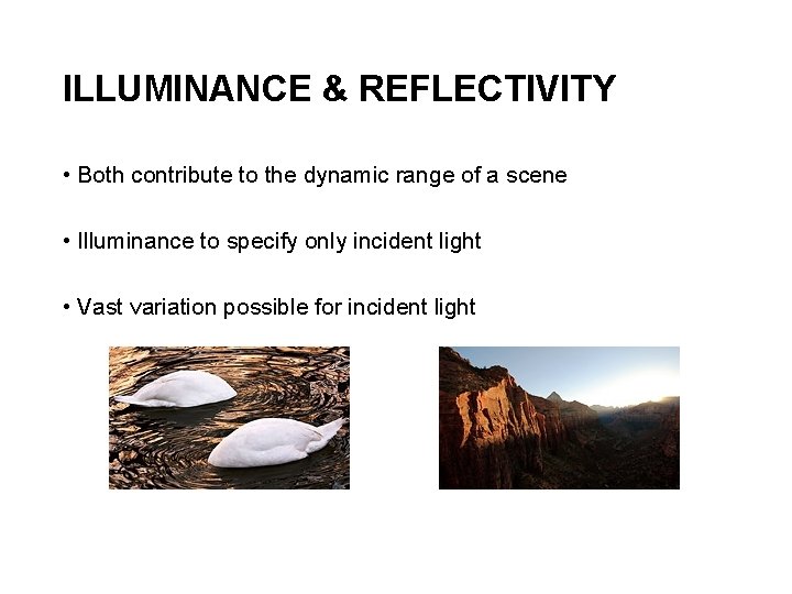 ILLUMINANCE & REFLECTIVITY • Both contribute to the dynamic range of a scene • ILLUMINANCE & REFLECTIVITY • Both contribute to the dynamic range of a scene •