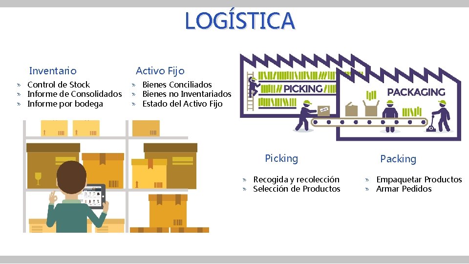 LOGÍSTICA Inventario » Control de Stock » Informe de Consolidados » Informe por bodega