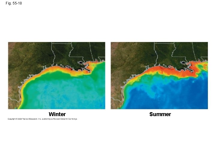 Fig. 55 -18 Winter Summer 