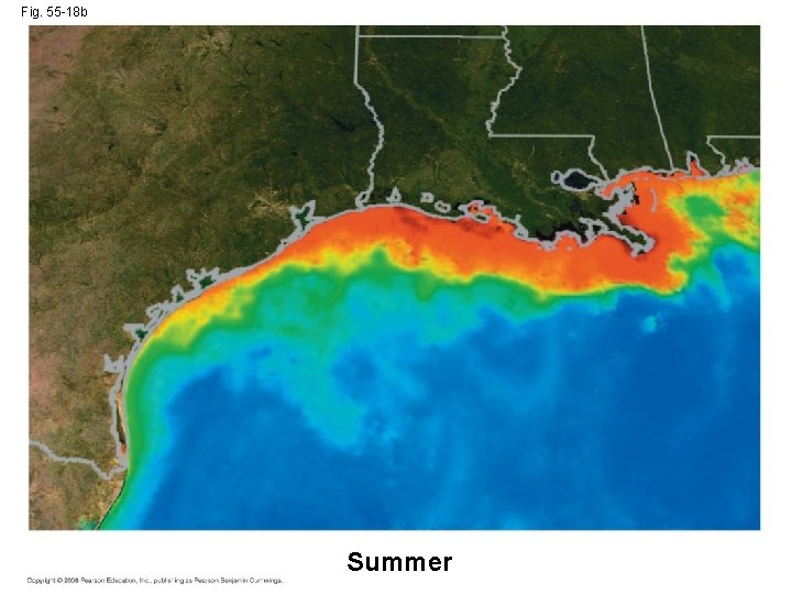 Fig. 55 -18 b Summer 