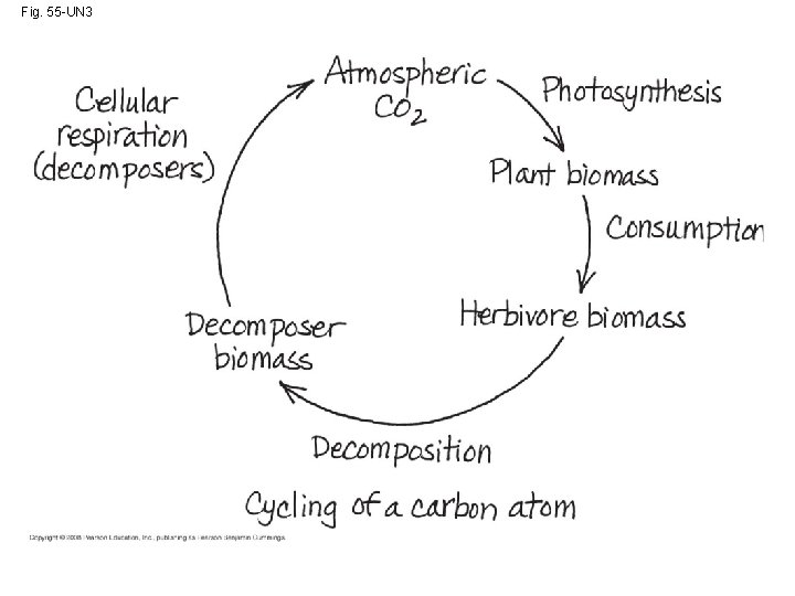 Fig. 55 -UN 3 