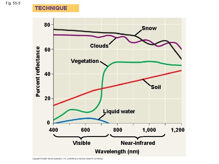 TECHNIQUE 80 Percent reflectance Fig. 55 -5 Snow Clouds 60 Vegetation 40 Soil 20