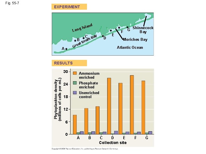 EXPERIMENT land g Is Lon B eat Gr A C th u So ay