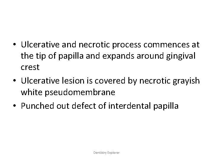  • Ulcerative and necrotic process commences at the tip of papilla and expands