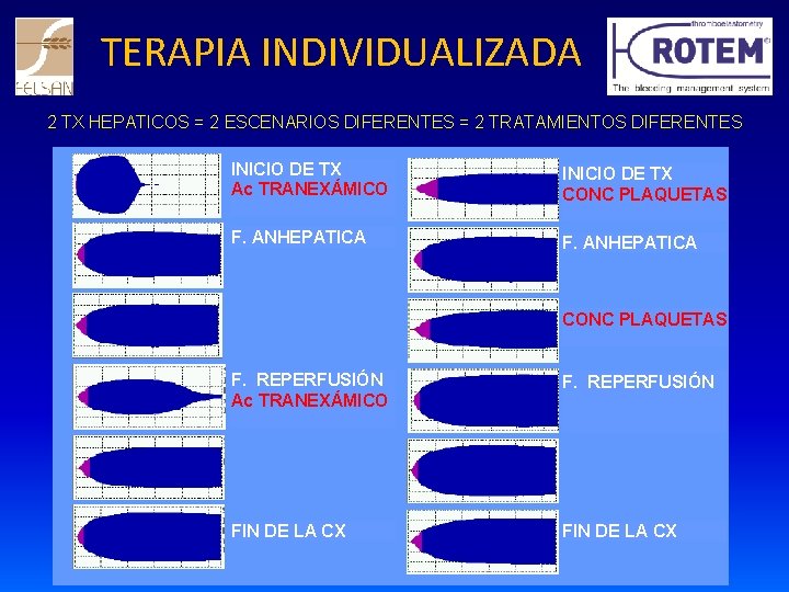 TERAPIA INDIVIDUALIZADA 2 TX HEPATICOS = 2 ESCENARIOS DIFERENTES = 2 TRATAMIENTOS DIFERENTES INICIO