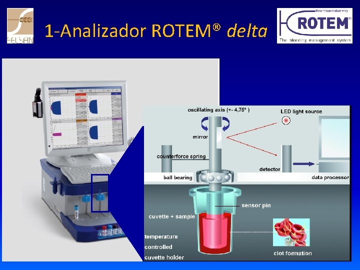 1 -Analizador ROTEM® delta 