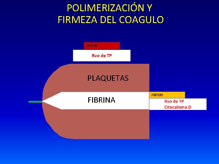 POLIMERIZACIÓN Y FIRMEZA DEL COAGULO EXTEM Rvo de TP PLAQUETAS FIBRINA 