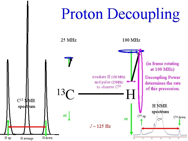 Proton Decoupling 25 MHz 100 MHz (in frame rotating at 100 MHz) 13 C
