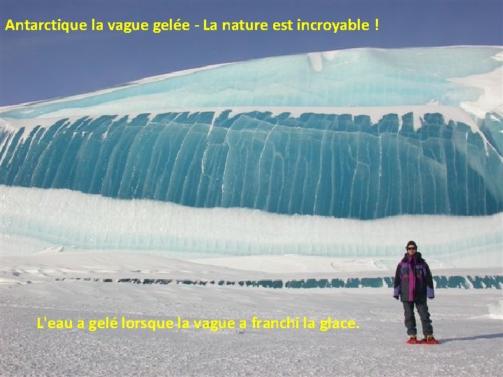 Antarctique la vague gelée - La nature est incroyable ! L'eau a gelé lorsque