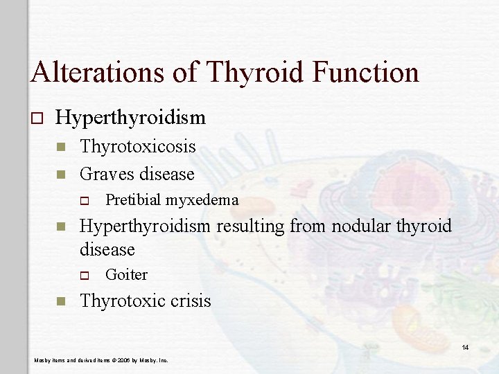 Alterations of Thyroid Function o Hyperthyroidism n n Thyrotoxicosis Graves disease o n Hyperthyroidism