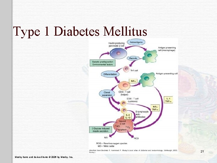 Type 1 Diabetes Mellitus 21 Mosby items and derived items © 2006 by Mosby,