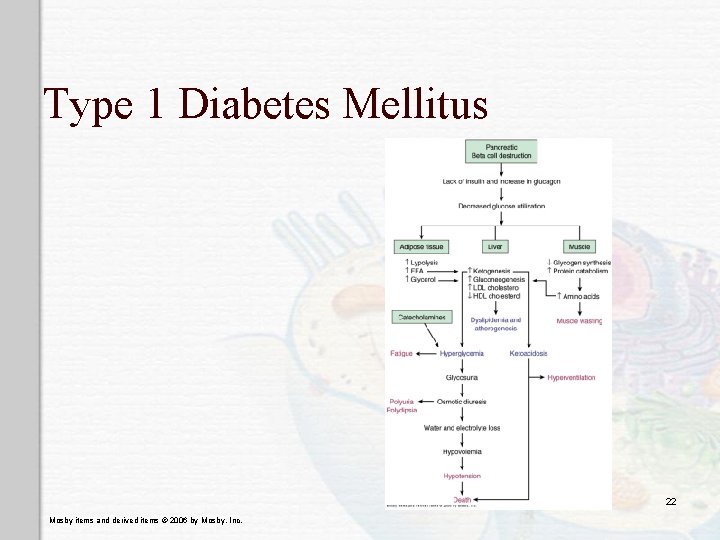 Type 1 Diabetes Mellitus 22 Mosby items and derived items © 2006 by Mosby,