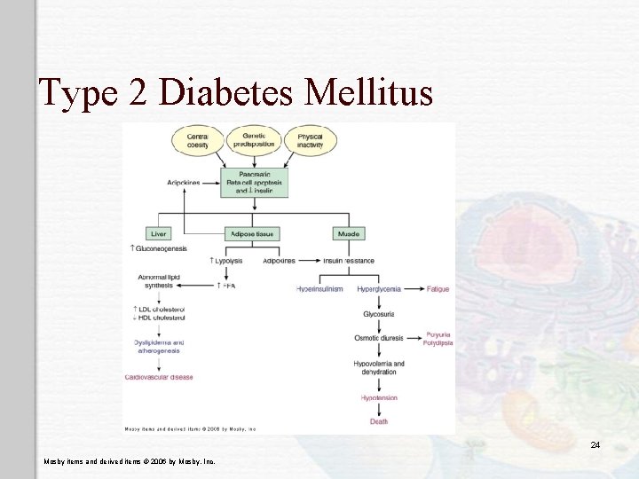 Type 2 Diabetes Mellitus 24 Mosby items and derived items © 2006 by Mosby,