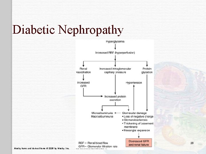 Diabetic Nephropathy 28 Mosby items and derived items © 2006 by Mosby, Inc. 