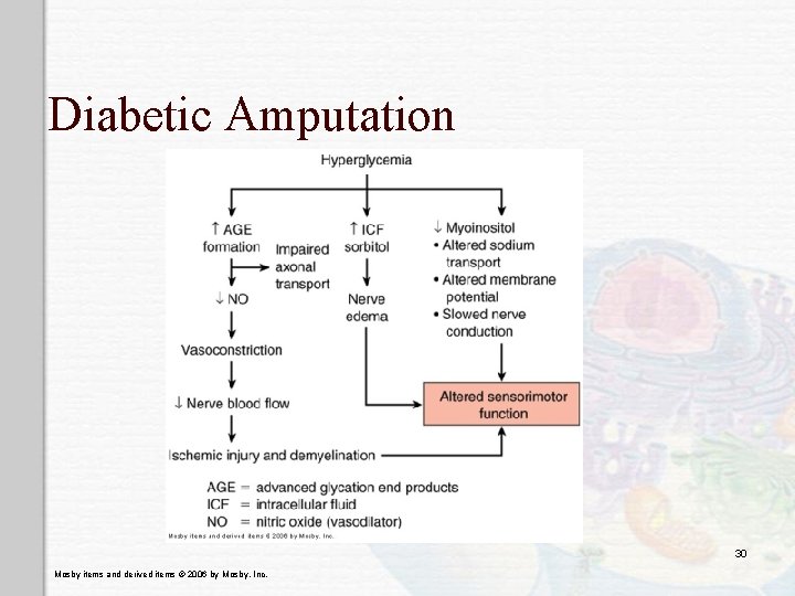 Diabetic Amputation 30 Mosby items and derived items © 2006 by Mosby, Inc. 