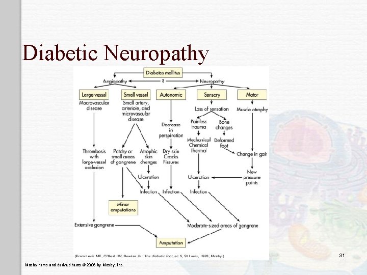 Diabetic Neuropathy 31 Mosby items and derived items © 2006 by Mosby, Inc. 