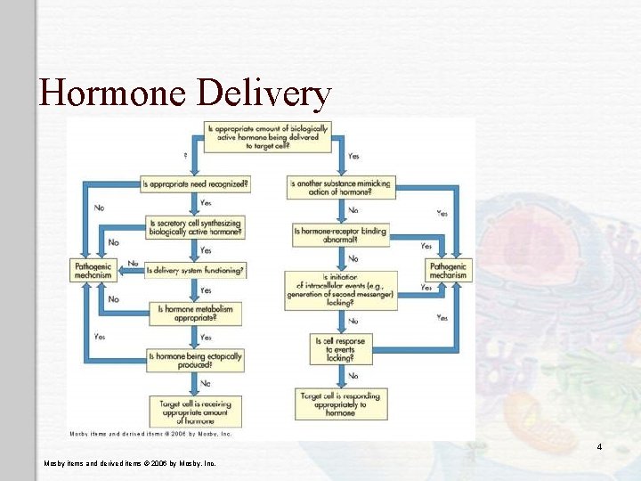 Hormone Delivery 4 Mosby items and derived items © 2006 by Mosby, Inc. 